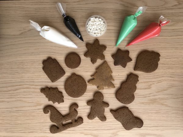 Xmas Biscuit Decorating Kit